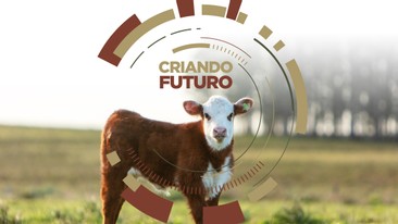 Gira Ganadera