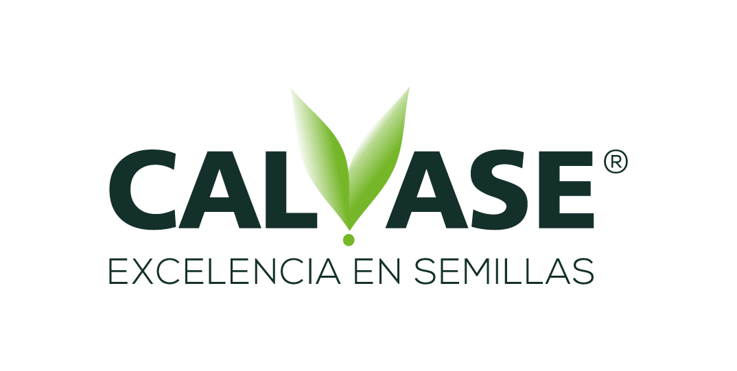 Calase