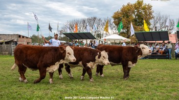 7a. Expo Nacional Hereford 2025