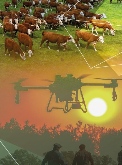 EFICIENCIA E INNOVACIÓN<br>EN PRODUCCIÓN GANADERA