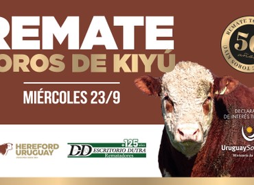 LOS TOROS DE KIYÚ