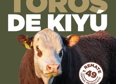 LOS TOROS DE KIYÚ