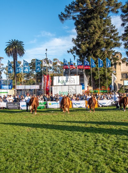 TE ESPERAMOS EN<br>EXPO PRADO 2025