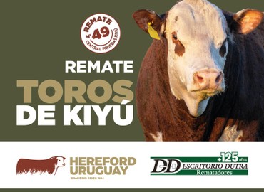49° Remate Los Toros de Kiyú