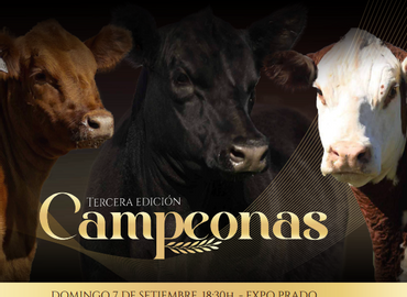 Campeonas