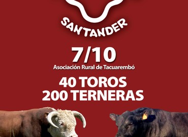 Los Cerros de San Juan y Santander