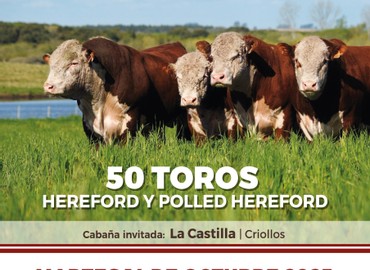 Rincón de Francia y Manguera Azul