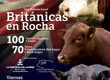 Los Charrúas