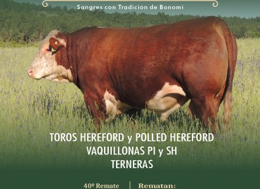 La Lorencita