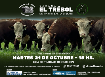 El Trébol