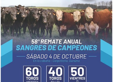 San José del Yaguarí