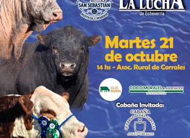La Lucha