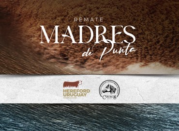 Madres de Punta