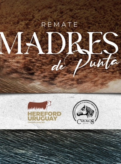 REMATE<br>MADRES<br>DE PUNTA