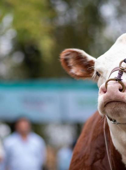 TE ESPERAMOS EN<br>EXPO DURAZNO 2026