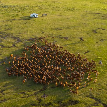 La Enramada en acción