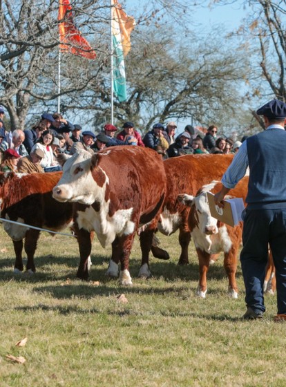 EXPO NACIONAL HEREFORD 2026
