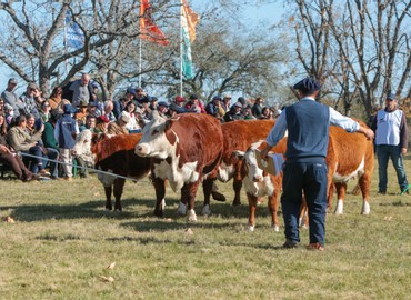 EXPO NACIONAL HEREFORD 2026