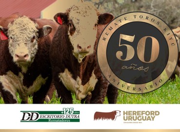 Remate 50 años de Kiyú