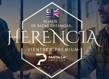 Remate Herencia Pantalla Uruguay
