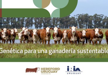 Genética para una ganadería sustentable