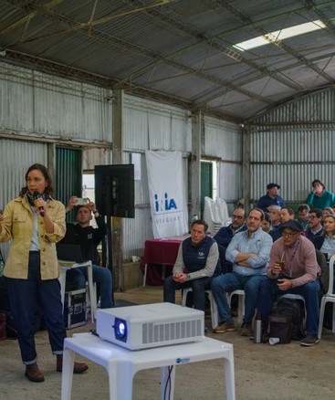 ¿Qué vimos evaluando 6 generaciones de hembras con padres de alto y bajo EPD para eficiencia de conversión?