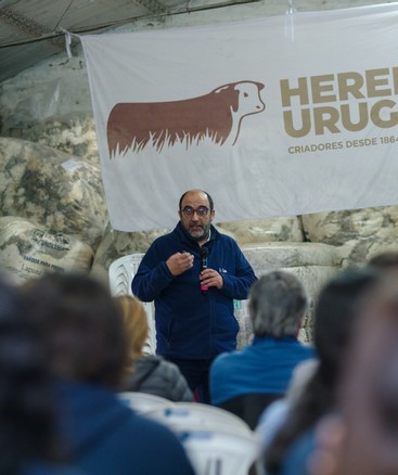 Núcleo Informativo en Glencoe - Diseño para la evaluación del efecto de la eficiencia de conversión en un rodeo de cría