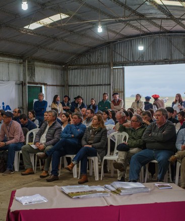 Mejoramiento genético para la mitigación del metano: el rol de la raza Hereford en LATAM Low Methane Beef