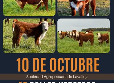 Valle del Laurel