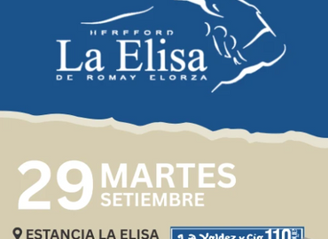 La Elisa