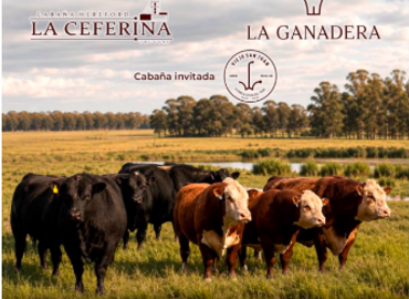 La Ceferina y La Ganadera