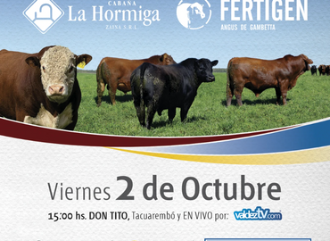 La Hormiga