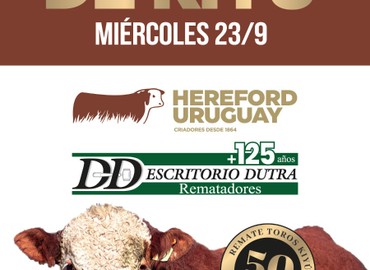 50° Remate Los toros de Kiyú