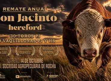Don Jacinto