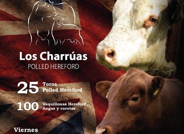 Los Charrúas