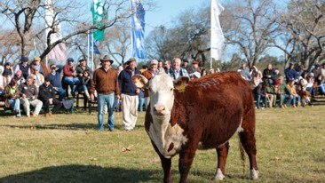 4ta. Expo Nacional Hereford