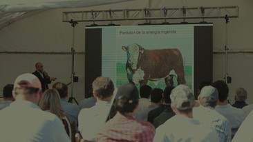 Cuantificación de metano entérico en Kiyú: La bolilla que faltaba