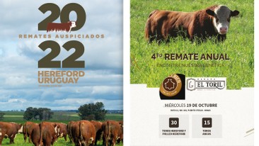 REMATE DE CABAÑAS<BR>VALLE CHICO Y EL TORIL