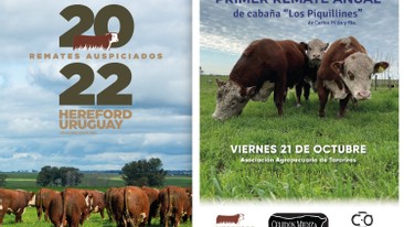 REMATE DE CABAÑA<BR>LOS PIQUILLINES