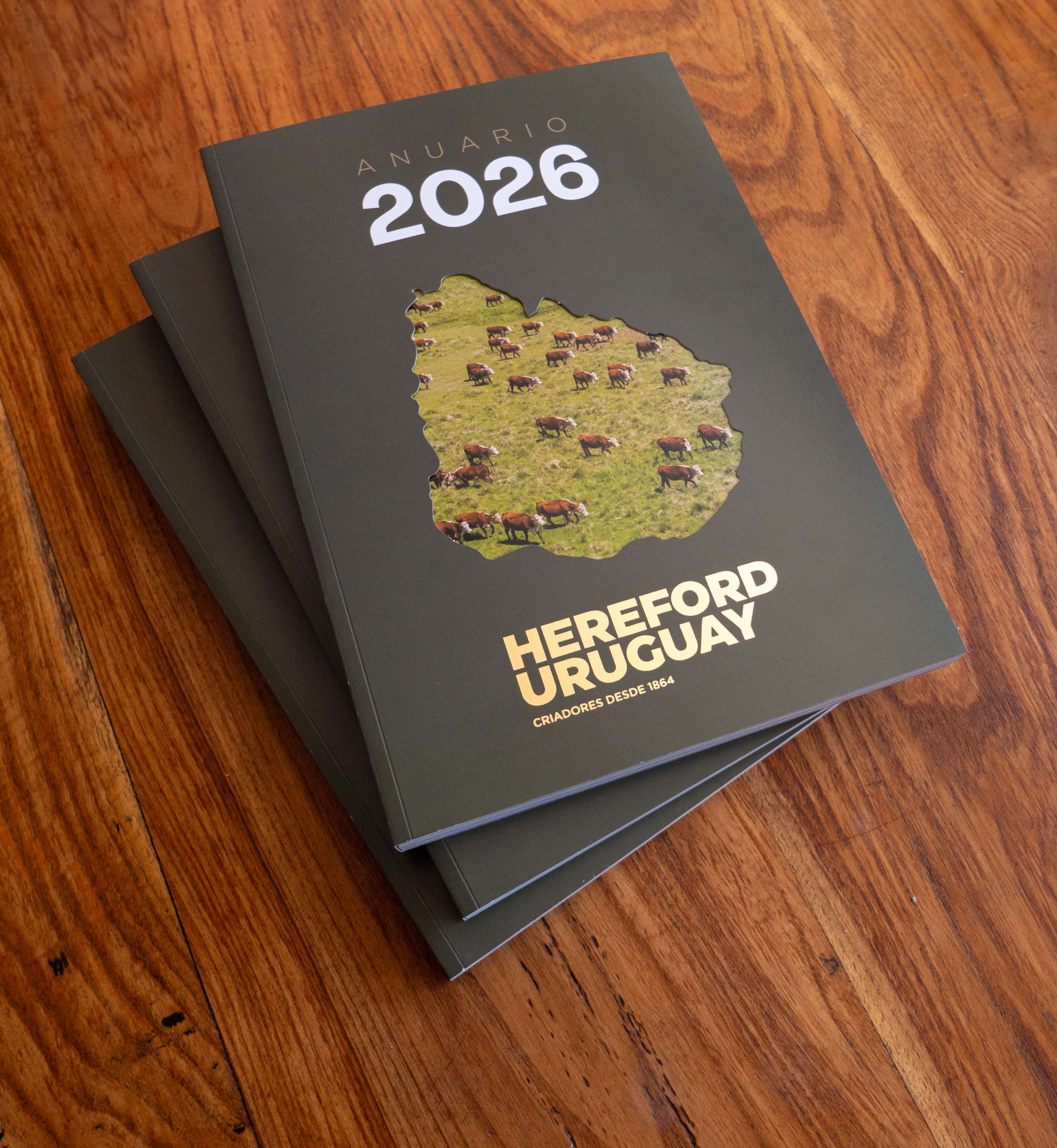ANUARIO HEREFORD 2026